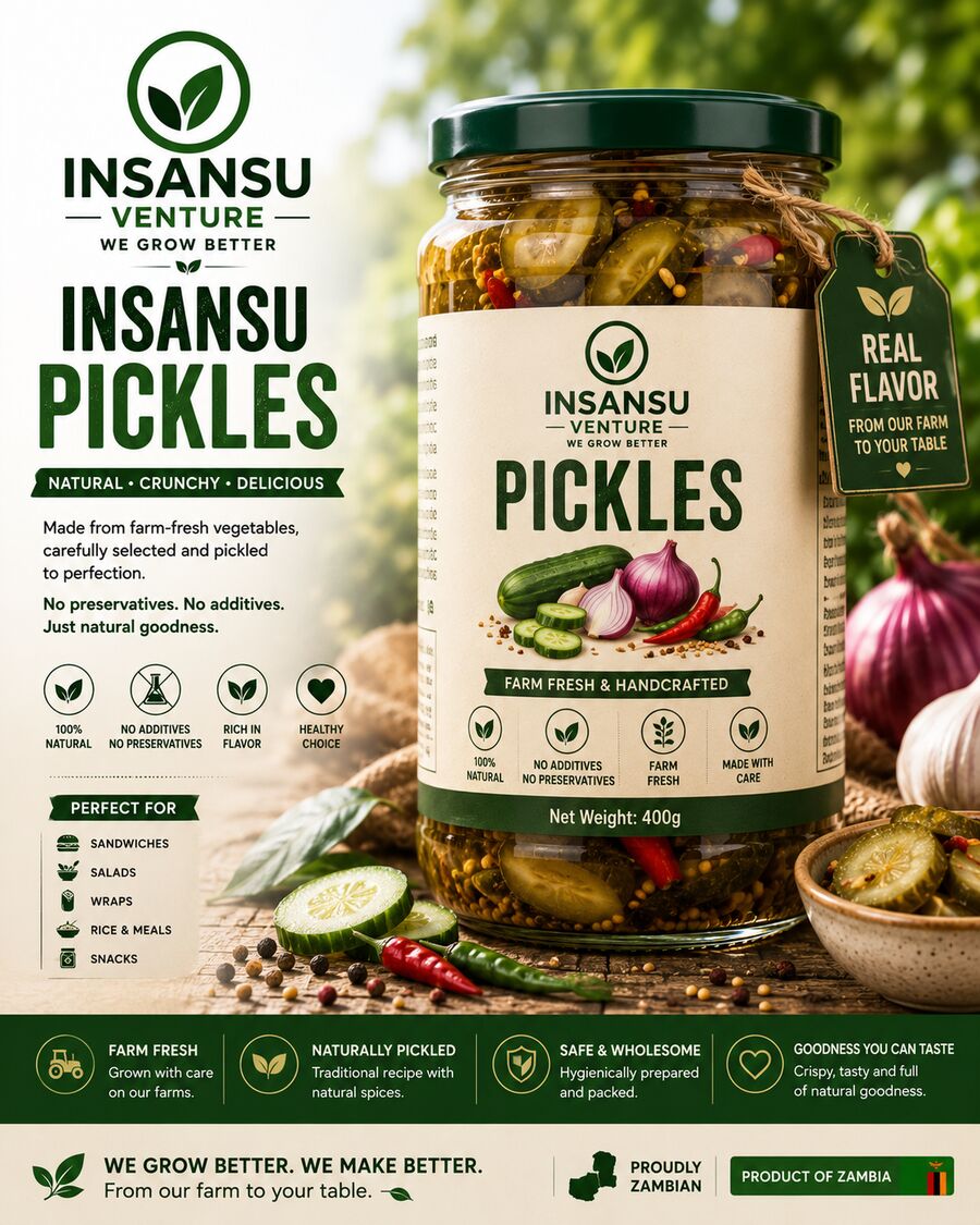 Insansu Venture pickles jar concept
